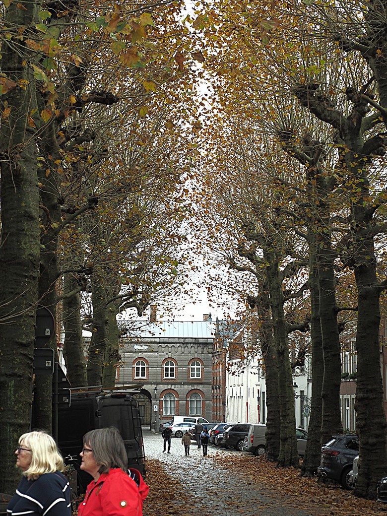 布魯日大廣場(Grote Markt)、大鐘樓(Belfort) 、市政廳(Stadhuis Brugge) 、玫瑰碼頭(Rosary Quay) 、聖母教堂(Onze-Lieve-Vrouwekerk)、貝居安禮修道院(Begijnhofkapel),還有白酒淡菜 — 世界文化遺產 之 布魯日歷史中心(Historic Centre of Brugge) — 2023年冬季歐洲行旅 第五部