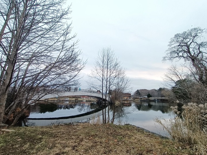 冬遊北海道(上)-五稜郭公園-女子修道院-大沼國定公園-小樽運河-尼克斯海洋公園