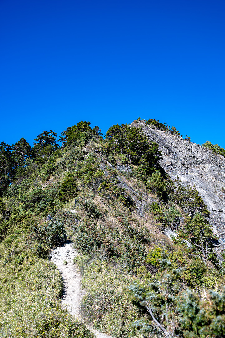 點我看大圖 南橫三星|重返山林之旅