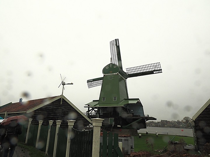 哈倫(Haarlem)市區、聖巴弗教堂(St.-Bavokerk)、桑斯安斯(Zaanse Schans)風車村、福倫丹(Volendam)午餐、羊角村(Giethoorn)遊船 — 荷蘭鄉間風光 — 2023年冬季歐洲行旅 第二部