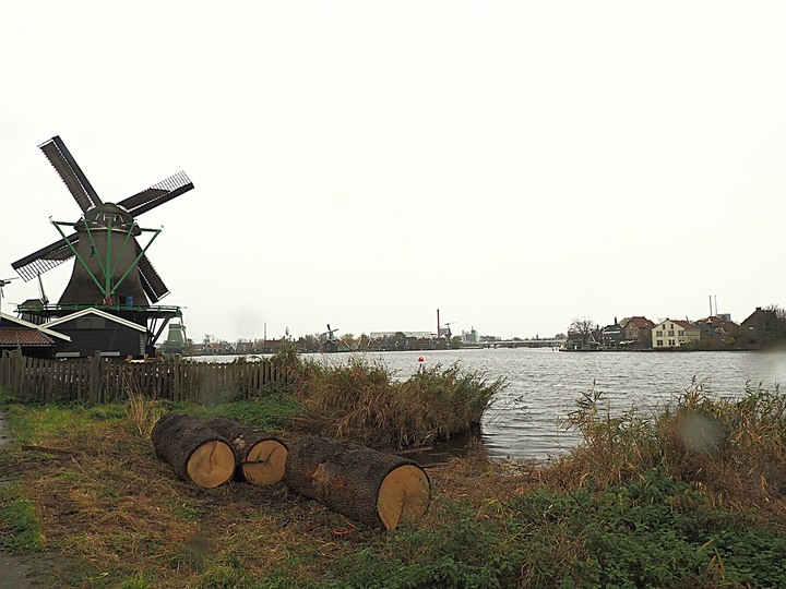 哈倫(Haarlem)市區、聖巴弗教堂(St.-Bavokerk)、桑斯安斯(Zaanse Schans)風車村、福倫丹(Volendam)午餐、羊角村(Giethoorn)遊船 — 荷蘭鄉間風光 — 2023年冬季歐洲行旅 第二部