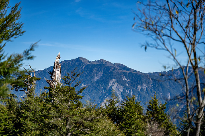 南橫三星｜重返山林之旅