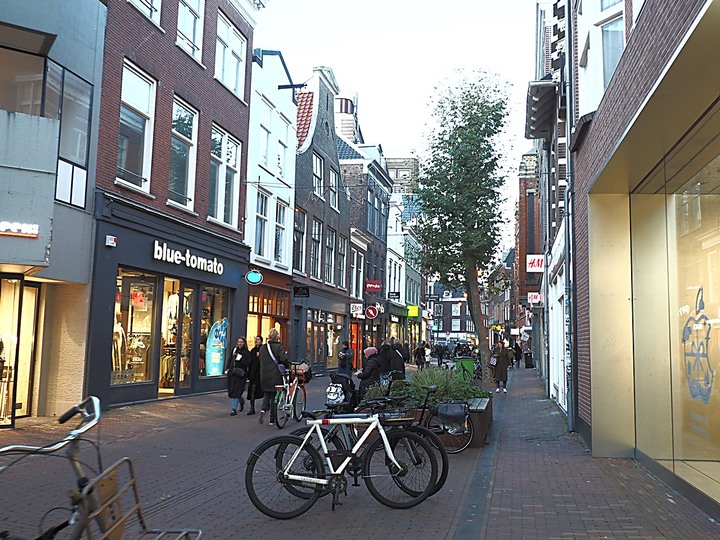 哈倫(Haarlem)市區、聖巴弗教堂(St.-Bavokerk)、桑斯安斯(Zaanse Schans)風車村、福倫丹(Volendam)午餐、羊角村(Giethoorn)遊船 — 荷蘭鄉間風光 — 2023年冬季歐洲行旅 第二部