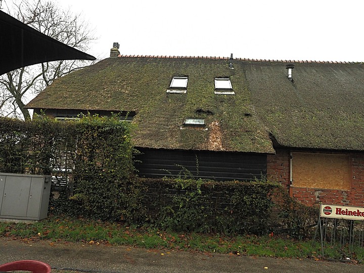 哈倫(Haarlem)市區、聖巴弗教堂(St.-Bavokerk)、桑斯安斯(Zaanse Schans)風車村、福倫丹(Volendam)午餐、羊角村(Giethoorn)遊船 — 荷蘭鄉間風光 — 2023年冬季歐洲行旅 第二部