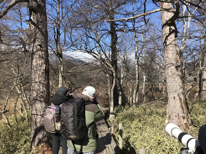 日本賞楓/JR pass/1人自由行11天10夜(Day5）