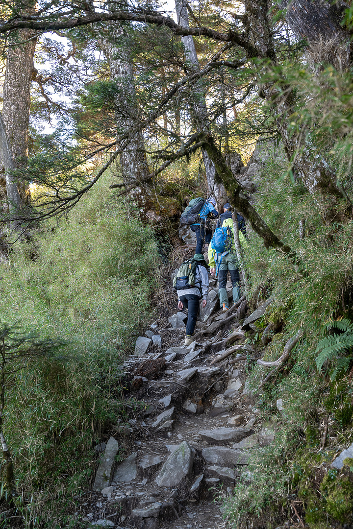 南橫三星｜重返山林之旅