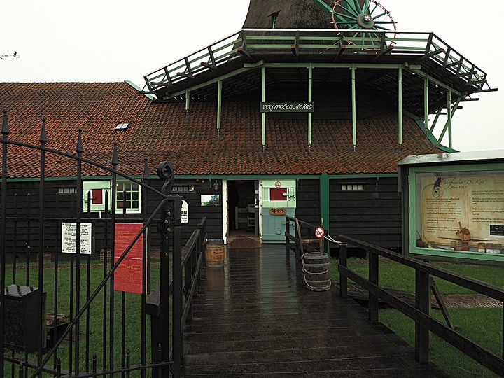 哈倫(Haarlem)市區、聖巴弗教堂(St.-Bavokerk)、桑斯安斯(Zaanse Schans)風車村、福倫丹(Volendam)午餐、羊角村(Giethoorn)遊船 — 荷蘭鄉間風光 — 2023年冬季歐洲行旅 第二部