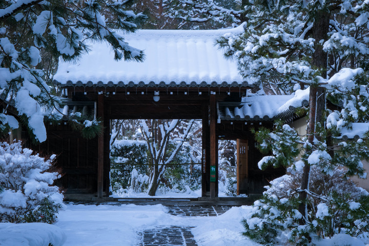 點我看大圖 京阪8天7夜分享-幸運遇見雪金閣