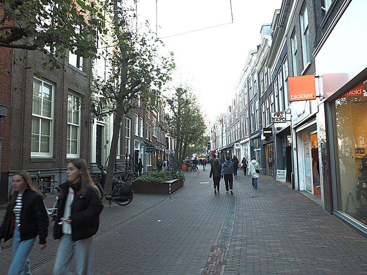 哈倫(Haarlem)市區、聖巴弗教堂(St.-Bavokerk)、桑斯安斯(Zaanse Schans)風車村、福倫丹(Volendam)午餐、羊角村(Giethoorn)遊船 — 荷蘭鄉間風光 — 2023年冬季歐洲行旅 第二部