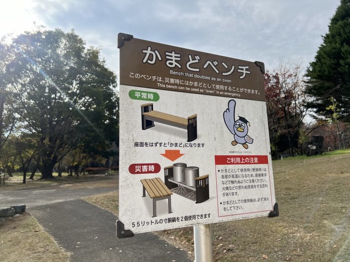 埼玉丨彩之森入間公園丨東京近郊私房賞楓景點丨搭乘西武鐵道特急Laview號