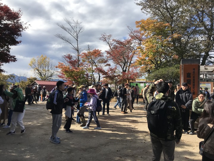 日本賞楓/JR pass/1人自由行11天10夜(Day4)