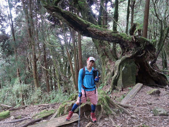 【特富野古道】見證台灣山林的美麗與哀愁 | 順訪兒玉山/東水山