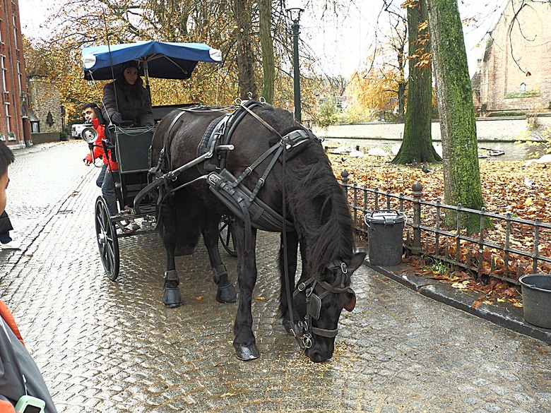 布魯日大廣場(Grote Markt)、大鐘樓(Belfort) 、市政廳(Stadhuis Brugge) 、玫瑰碼頭(Rosary Quay) 、聖母教堂(Onze-Lieve-Vrouwekerk)、貝居安禮修道院(Begijnhofkapel),還有白酒淡菜 — 世界文化遺產 之 布魯日歷史中心(Historic Centre of Brugge) — 2023年冬季歐洲行旅 第五部