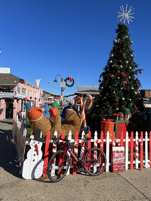 (2023大雪) 🚴🇺🇸 漫遊 Monterey 17哩風景路 (2023/12/12)