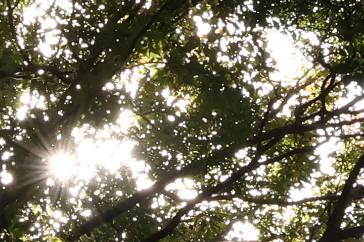 Canon RF-S 10-18mm f/4.5-6.3 IS STM 評測報告｜攝錄皆宜、僅 150g 的隨身超廣角鏡頭！