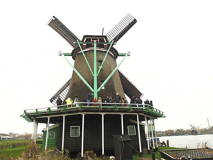 哈倫(Haarlem)市區、聖巴弗教堂(St.-Bavokerk)、桑斯安斯(Zaanse Schans)風車村、福倫丹(Volendam)午餐、羊角村(Giethoorn)遊船 — 荷蘭鄉間風光 — 2023年冬季歐洲行旅 第二部