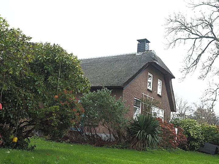 哈倫(Haarlem)市區、聖巴弗教堂(St.-Bavokerk)、桑斯安斯(Zaanse Schans)風車村、福倫丹(Volendam)午餐、羊角村(Giethoorn)遊船 — 荷蘭鄉間風光 — 2023年冬季歐洲行旅 第二部