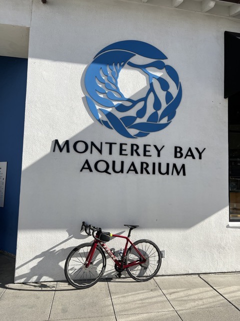 (2023大雪) 🚴🇺🇸 漫遊 Monterey 17哩風景路 (2023/12/12)