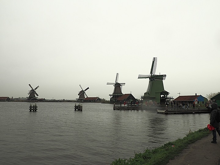 哈倫(Haarlem)市區、聖巴弗教堂(St.-Bavokerk)、桑斯安斯(Zaanse Schans)風車村、福倫丹(Volendam)午餐、羊角村(Giethoorn)遊船 — 荷蘭鄉間風光 — 2023年冬季歐洲行旅 第二部