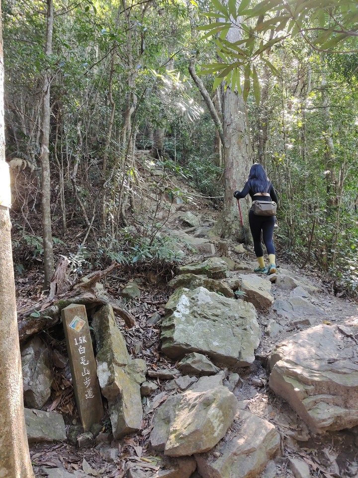 谷關七雄 | 白毛山 | 稜線超好拍