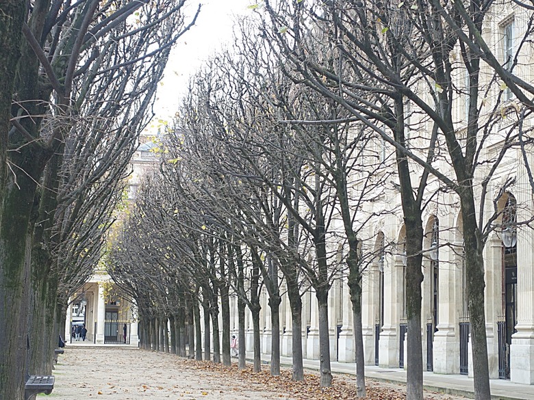 凡爾賽宮(Château de Versailles) — 世界文化遺產 之 凡爾賽宮及其園林(Palace and Park of Versailles) — 外掛巴黎市政廳(Hôtel de Ville)、古監獄(Conciergerie) 、皇家宮殿(Domaine National du Palais-Royal) — 2023年冬季歐洲行旅 第七部