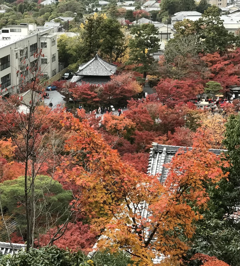 日本賞楓/JR pass/1人自由行11天10夜(Day10+11)