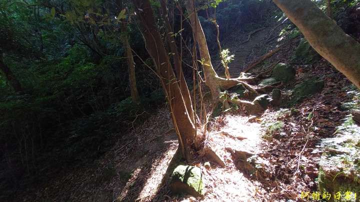 平溪中央尖 不是百岳的那個中央尖｜臭頭山 為何臭頭?