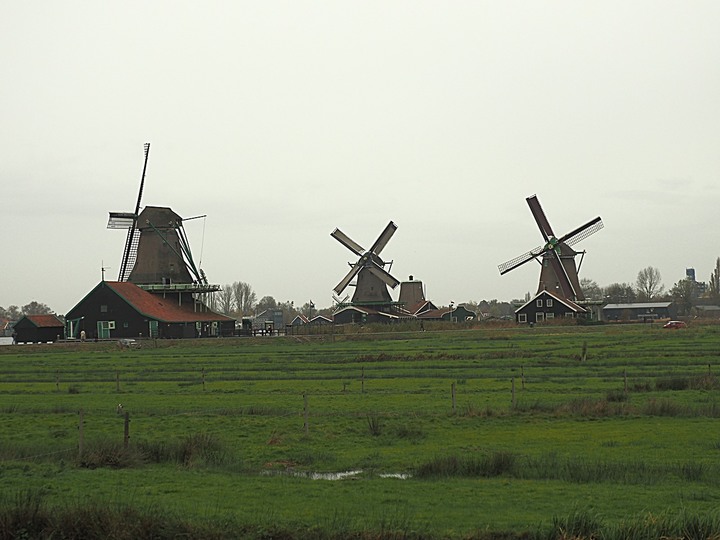 哈倫(Haarlem)市區、聖巴弗教堂(St.-Bavokerk)、桑斯安斯(Zaanse Schans)風車村、福倫丹(Volendam)午餐、羊角村(Giethoorn)遊船 — 荷蘭鄉間風光 — 2023年冬季歐洲行旅 第二部