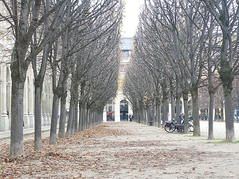凡爾賽宮(Château de Versailles) — 世界文化遺產 之 凡爾賽宮及其園林(Palace and Park of Versailles) — 外掛巴黎市政廳(Hôtel de Ville)、古監獄(Conciergerie) 、皇家宮殿(Domaine National du Palais-Royal) — 2023年冬季歐洲行旅 第七部