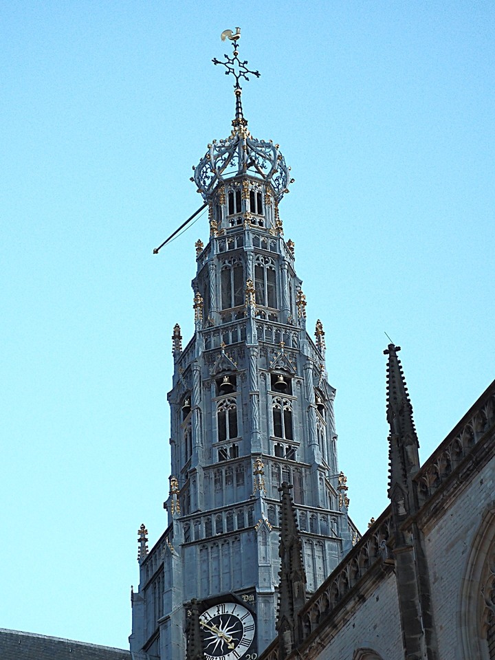 哈倫(Haarlem)市區、聖巴弗教堂(St.-Bavokerk)、桑斯安斯(Zaanse Schans)風車村、福倫丹(Volendam)午餐、羊角村(Giethoorn)遊船 — 荷蘭鄉間風光 — 2023年冬季歐洲行旅 第二部