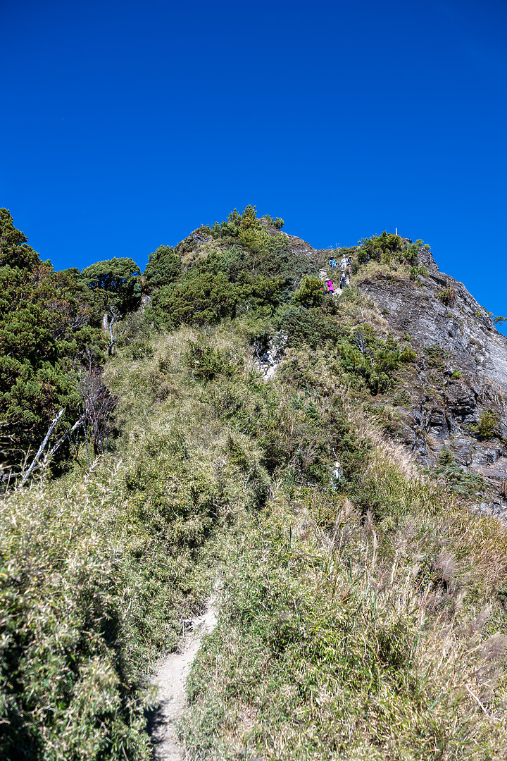點我看大圖 南橫三星|重返山林之旅