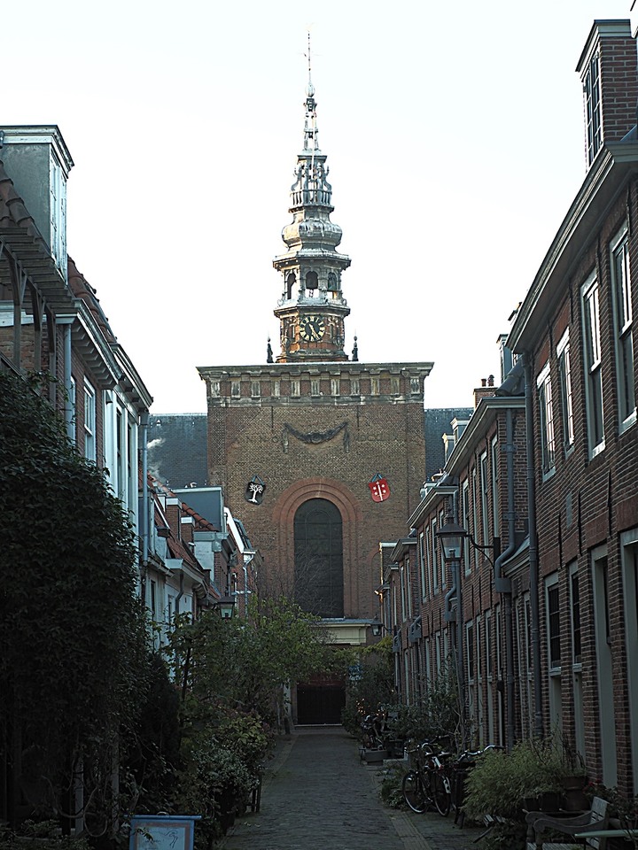 哈倫(Haarlem)市區、聖巴弗教堂(St.-Bavokerk)、桑斯安斯(Zaanse Schans)風車村、福倫丹(Volendam)午餐、羊角村(Giethoorn)遊船 — 荷蘭鄉間風光 — 2023年冬季歐洲行旅 第二部