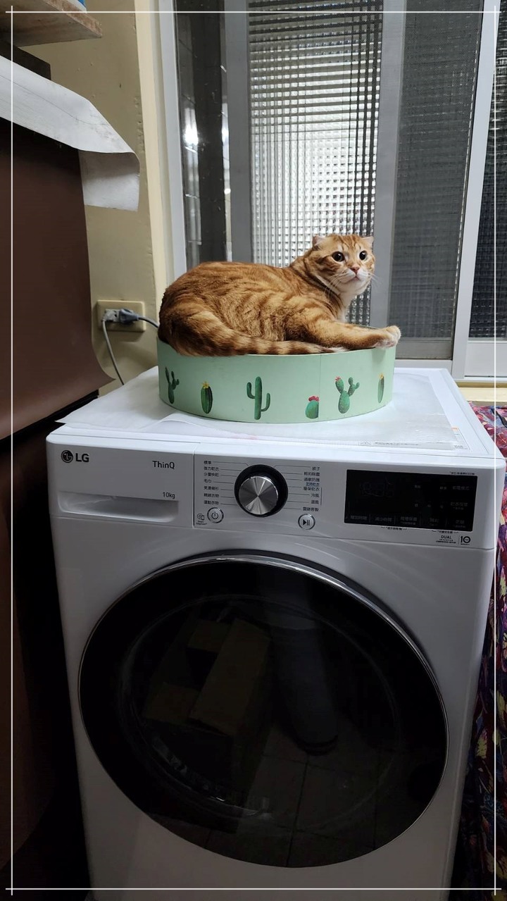 孝親好幫手《LG免曬衣乾衣機》，代替自己好好幫忙免曬衣！