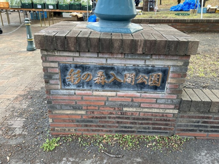 埼玉丨彩之森入間公園丨東京近郊私房賞楓景點丨搭乘西武鐵道特急Laview號