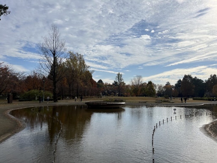 埼玉丨彩之森入間公園丨東京近郊私房賞楓景點丨搭乘西武鐵道特急Laview號