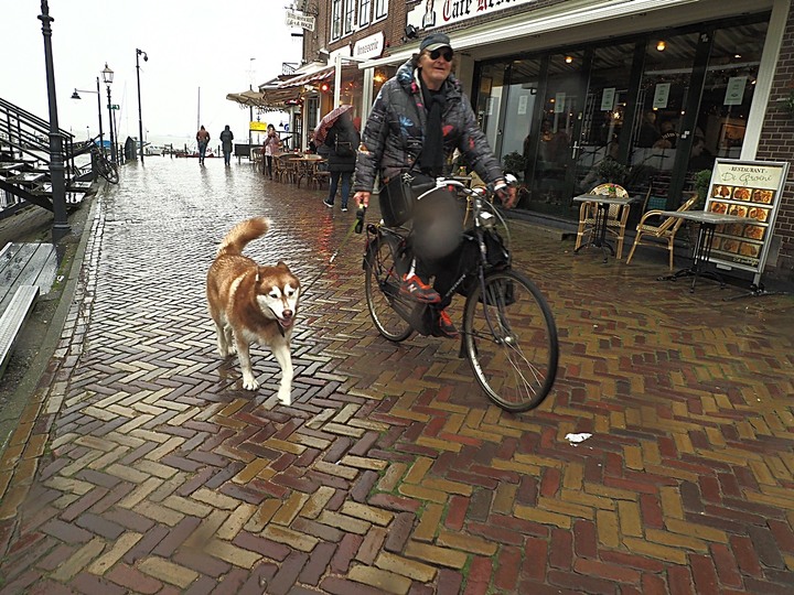 哈倫(Haarlem)市區、聖巴弗教堂(St.-Bavokerk)、桑斯安斯(Zaanse Schans)風車村、福倫丹(Volendam)午餐、羊角村(Giethoorn)遊船 — 荷蘭鄉間風光 — 2023年冬季歐洲行旅 第二部