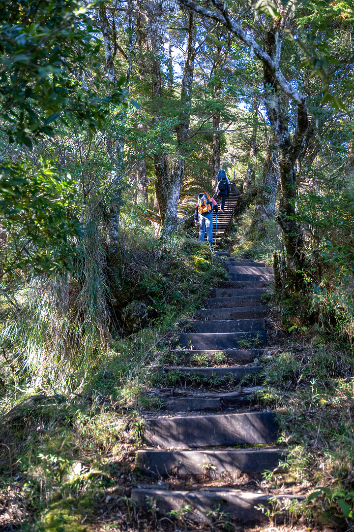 點我看大圖 南橫三星|重返山林之旅