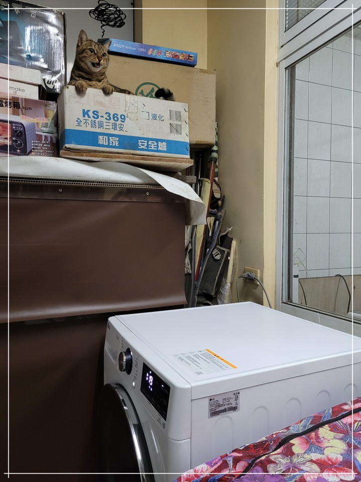 孝親好幫手《LG免曬衣乾衣機》，代替自己好好幫忙免曬衣！