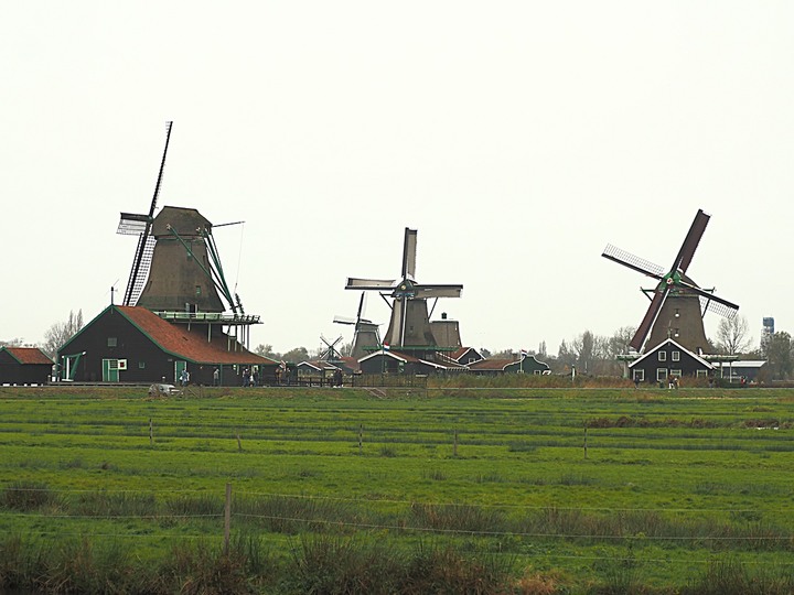哈倫(Haarlem)市區、聖巴弗教堂(St.-Bavokerk)、桑斯安斯(Zaanse Schans)風車村、福倫丹(Volendam)午餐、羊角村(Giethoorn)遊船 — 荷蘭鄉間風光 — 2023年冬季歐洲行旅 第二部
