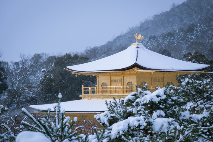 點我看大圖 京阪8天7夜分享-幸運遇見雪金閣