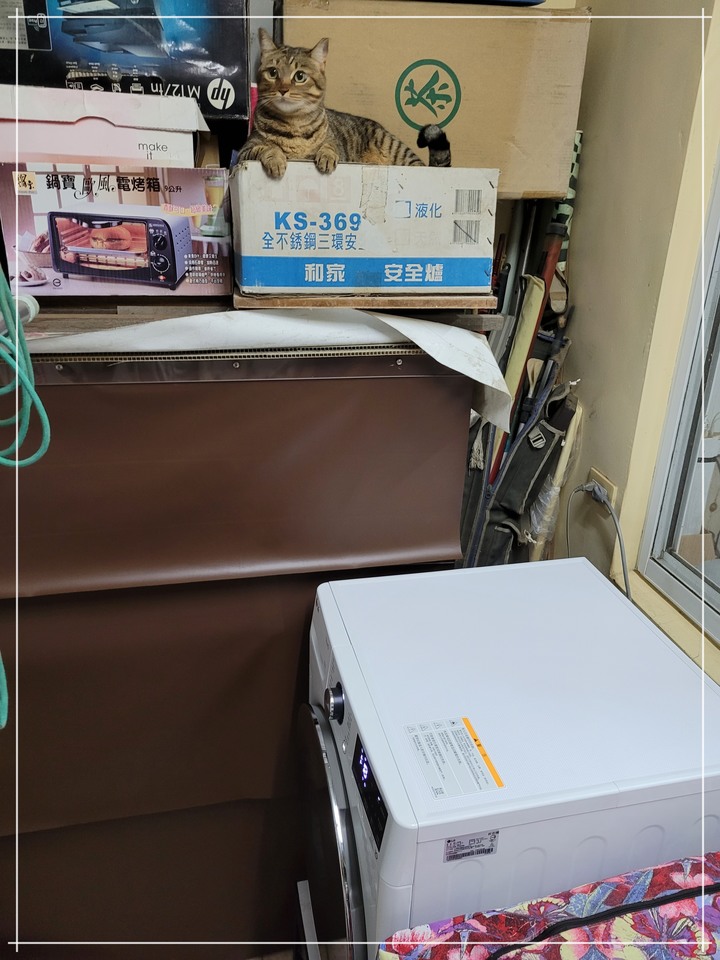 孝親好幫手《LG免曬衣乾衣機》，代替自己好好幫忙免曬衣！