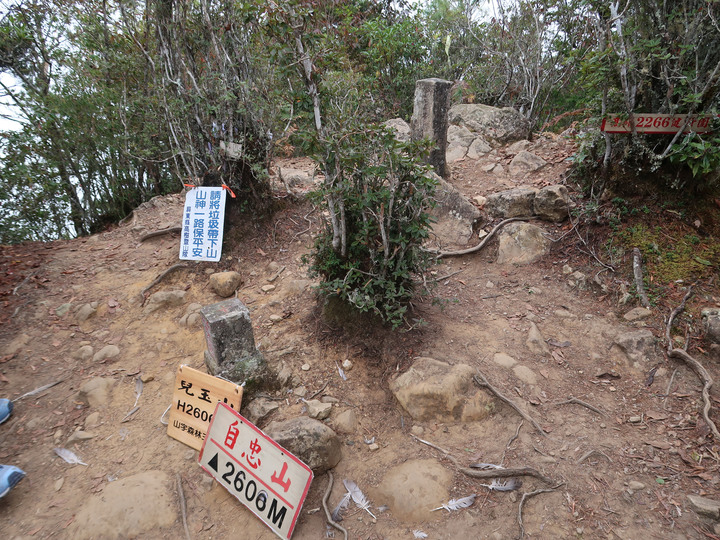【特富野古道】見證台灣山林的美麗與哀愁 | 順訪兒玉山/東水山
