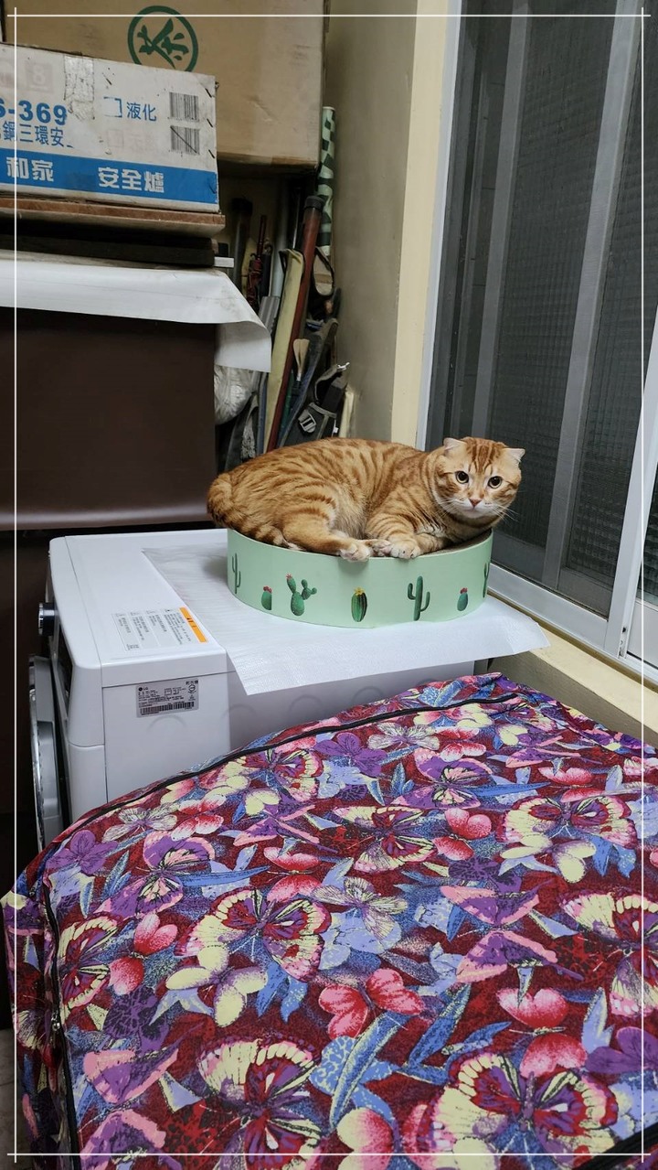 孝親好幫手《LG免曬衣乾衣機》，代替自己好好幫忙免曬衣！