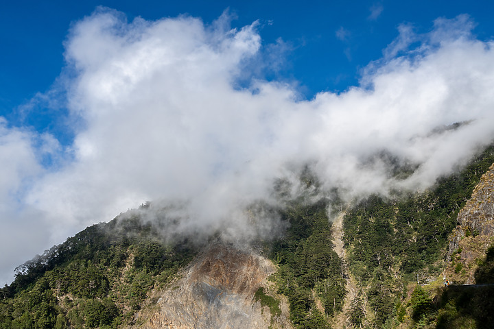 南橫三星｜重返山林之旅