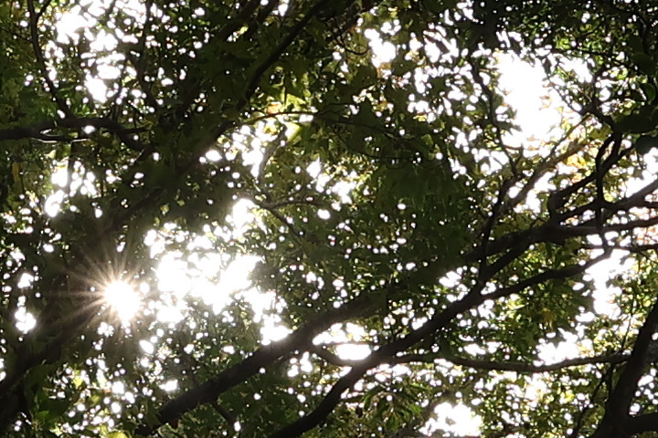 Canon RF-S 10-18mm f/4.5-6.3 IS STM 評測報告｜攝錄皆宜、僅 150g 的隨身超廣角鏡頭！