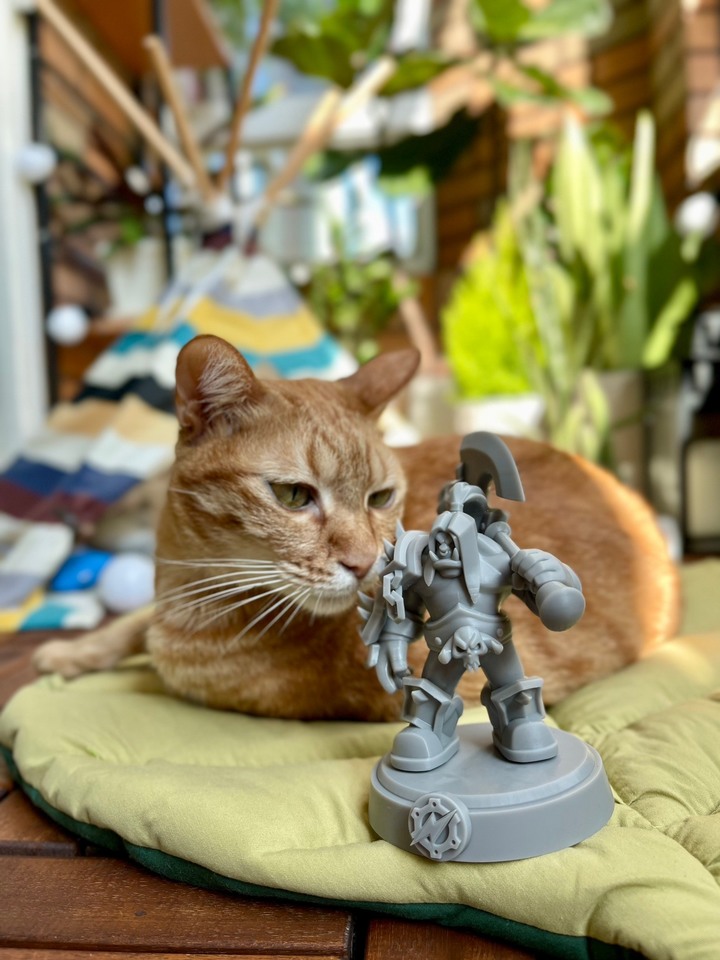 《魔獸兵團》好玩到想擺出來， 3D列印初體驗！