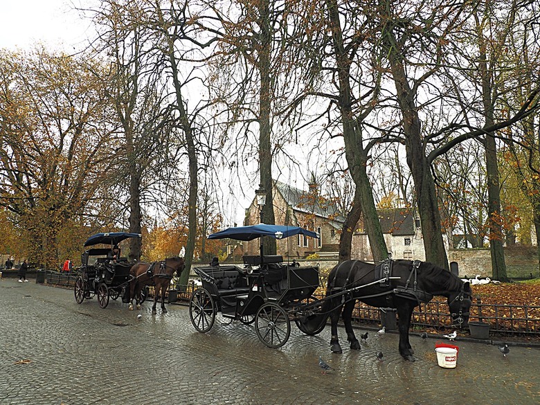 布魯日大廣場(Grote Markt)、大鐘樓(Belfort) 、市政廳(Stadhuis Brugge) 、玫瑰碼頭(Rosary Quay) 、聖母教堂(Onze-Lieve-Vrouwekerk)、貝居安禮修道院(Begijnhofkapel),還有白酒淡菜 — 世界文化遺產 之 布魯日歷史中心(Historic Centre of Brugge) — 2023年冬季歐洲行旅 第五部