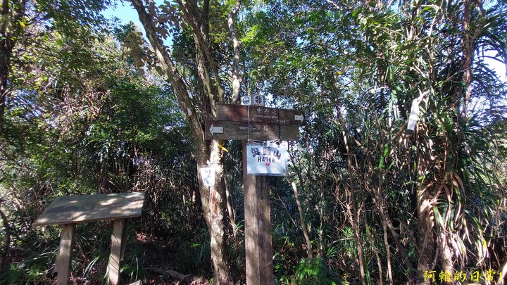 平溪中央尖 不是百岳的那個中央尖｜臭頭山 為何臭頭?
