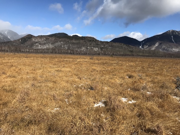 日本賞楓/JR pass/1人自由行11天10夜(Day5）