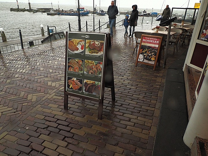 哈倫(Haarlem)市區、聖巴弗教堂(St.-Bavokerk)、桑斯安斯(Zaanse Schans)風車村、福倫丹(Volendam)午餐、羊角村(Giethoorn)遊船 — 荷蘭鄉間風光 — 2023年冬季歐洲行旅 第二部